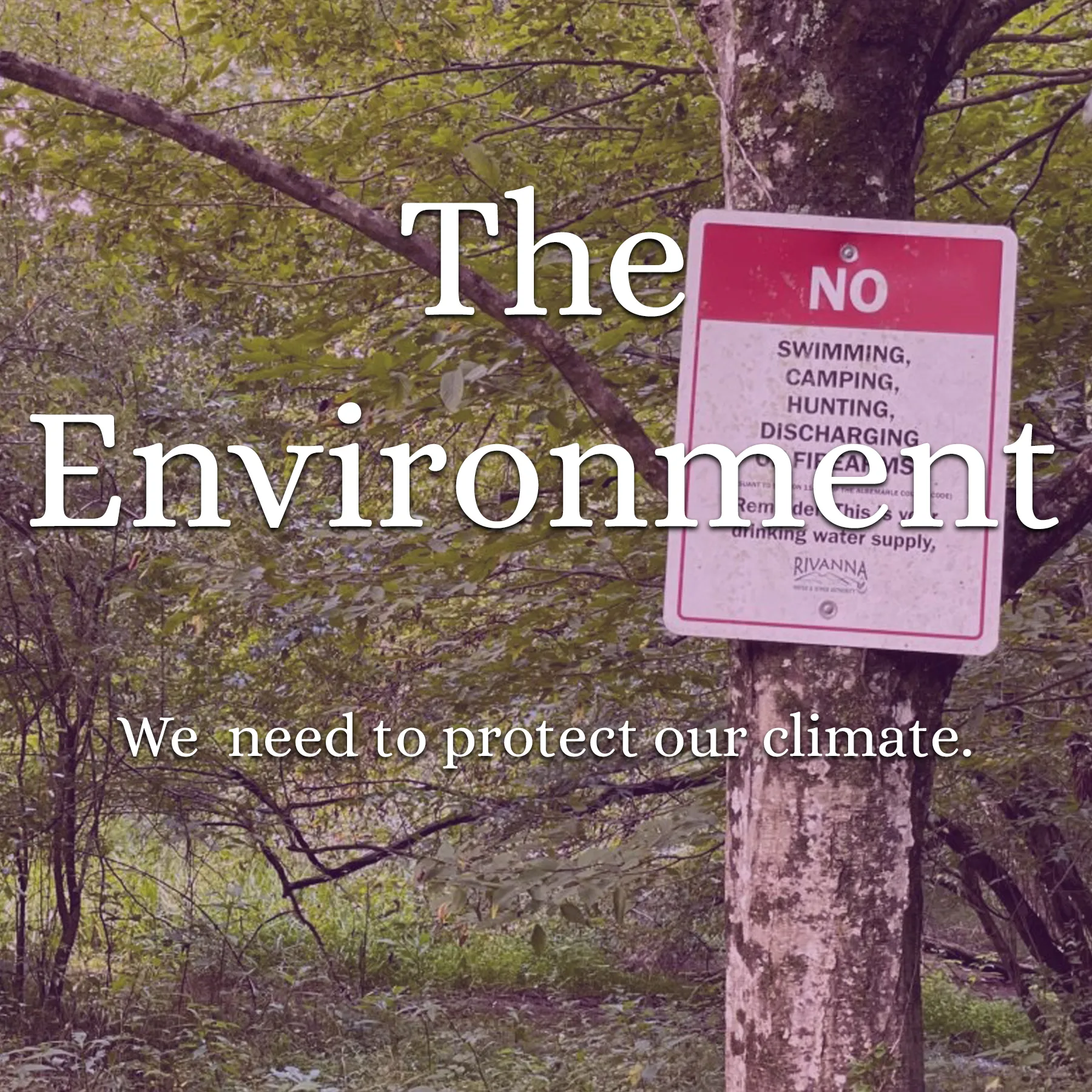 The Environment